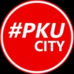 INFO PEKANBARU, RIAU(@pkucity)'s profile avatar