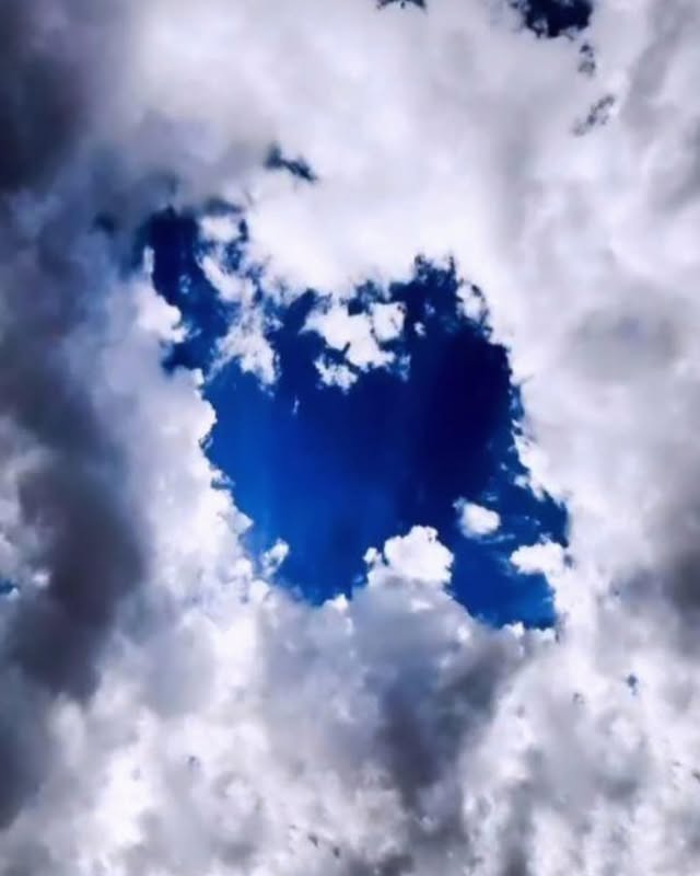 وطن بسوزد و من درجوش و خروش نباشمخدا کند که بمیرم ووطن فروش نباشم فارغ از هر مرده باد و زنده باد مام میهن پاینده باد by @alidaei