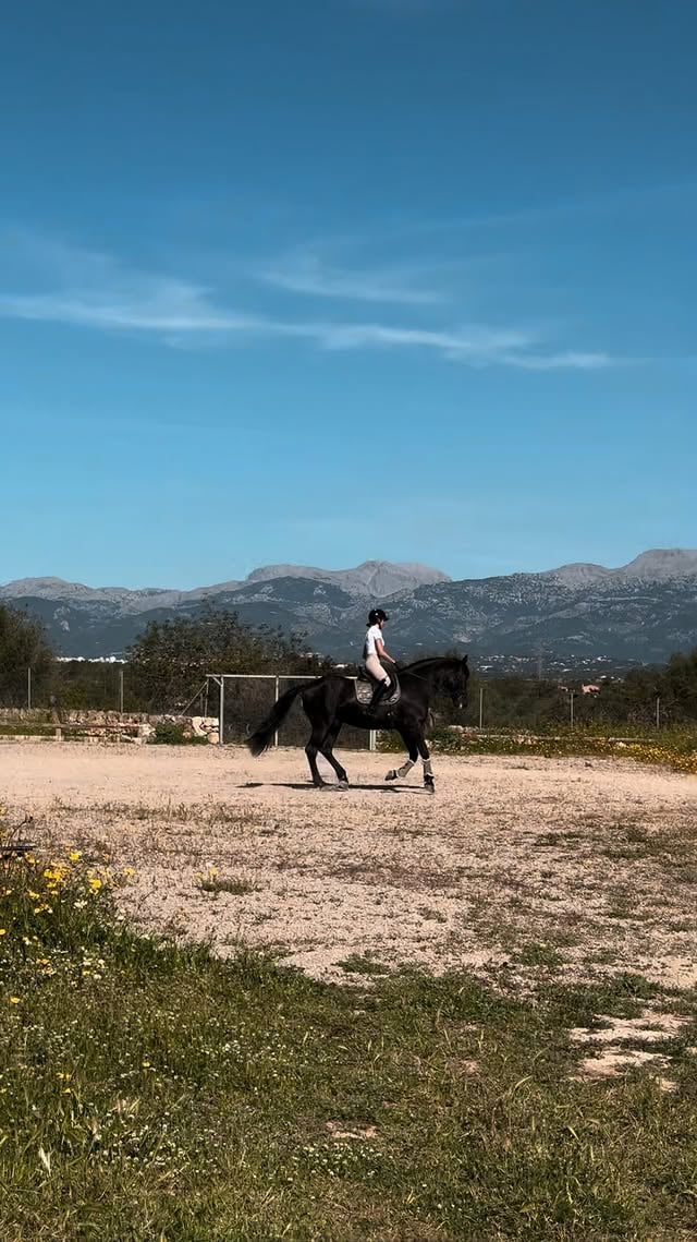 POV: Wenn dein Pferd und du endlich dort reiten, wovon ihr immer geträumt habt. ZUHAUSE 🥹♥️🙏🏻