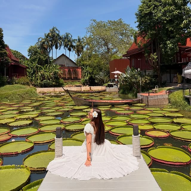 Dreamy Must visit cafe in Phuket @madoobua.phuket Beautiful pictures captured by my daughter @vidhirenuke ❤️❤️ blessed 😍[Phuket, Thailand, cafe, vacation, summer, travelling, photoshoot, madoobua, white dress, drone shoot]#fyp #phuket #exploremore #viral #tr by @fashion_enthusiast_sr