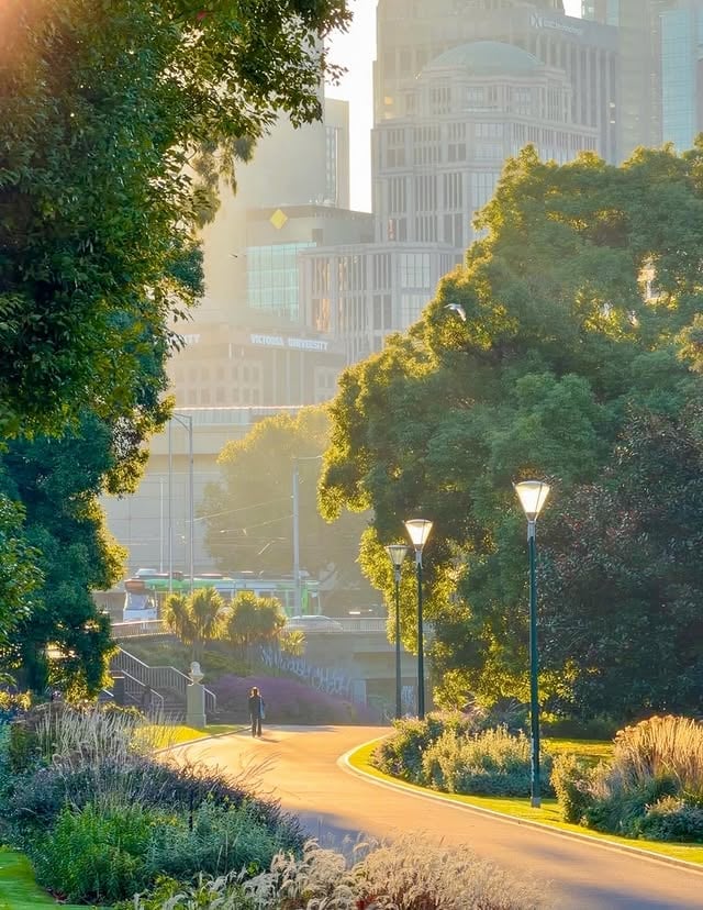 Glowing in Autumn ✨🍁 #Melbourne 📍 Alexandria Gardens, slide 1,2,13📍 Southbank Promenade, 3-4📍 Birrarung Marr, 5📍 1Hotel, 6📍 Kings Domain Gardens, 7📍 Royal Botanic Gardens, 8,11📍 Patricia Coffee on Lonsdale St,9📍 Fitzroy Gardens,10📍 Piccolina Smith St, 12 by @rayofmelbourne