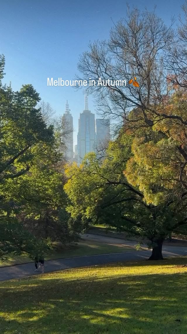 Fine Autumn Days in Melbourne 🍁✨ by @rayofmelbourne