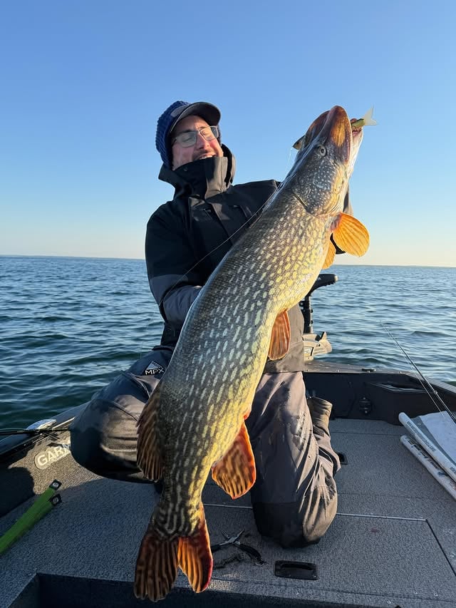 Énorme brochet au Dowz Swimmer 220SF ! 🤯🐊Marc vient de capturer ce magnifique poisson à l’aide de son Dowz Swimmer 220SF.Il l’utilise avec la The Artist – Notorious Pike. Bien que ce leurre soit principalement destiné à la pêche des zones peu profondes, il se montre également redoutable en pleine eau grâce à l’ajout de John Weight.Cela permet d’explorer efficacement toutes les couches d’eau et de s’adapter à un grand nombre de situations.Bravo ! 💛🎣#Illex #Jackall #Pike by @illex_official