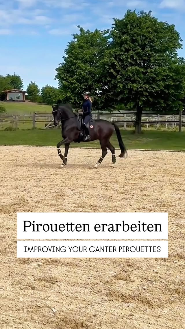 Pirouetten brauchen Kraft und die entsteht nur, wenn das Pferd die Zeit bekommt, sie zu entwickeln.Ich kombiniere gerne Travers mit Pirouetten: Der Außenzügel wendet die Schulter, der Takt bleibt erhalten. Dabei achte ich natürlich auch auf die Anlehnung, denn kommt das Pferd zu hoch ist es nicht mehr wirklich über den Rücken, kommt es zu tief, dann kommt es ganz schnell hinter die Senkrechte und galoppiert “in den Boden hinein”.👉 Den kompletten systematischen Aufbau von Galopp-Pirouetten zeige ich dir in einem ausführlichen Modul im @aubenhausen_club. Kommentiere „kostenlos” und ich schicke dir einen speziellen Link mit dem du den Club 5 Tage kostenlos testen kannst. ⬇️#reitsport #dressurpferd #dressurreiten #dressurreiter #dressagehorsesofinstagram by @jessica_von_bredow_werndl