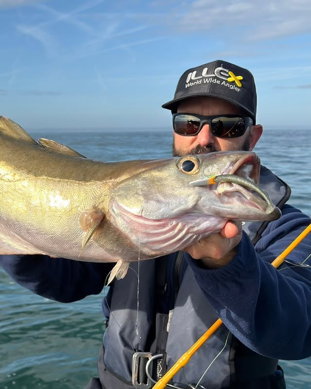 Nitro Slim Shad 90 🙌Notre nouvelle taille Nitro Slim Shad fait déjà sensation chez nos pro-staff !Julien a pris plusieurs espèces avec succès en imitant le poisson fourrage actuel tel que les lançons.Déjà disponible en magasins sous forme de combos pré-plombé, en 4 coloris et poids différents. 💛On a hâte d’avoir vos retours concernant cette petite bombe ! 😉#Illex #NitroSlimShad #Seabassfishing by @illex_official