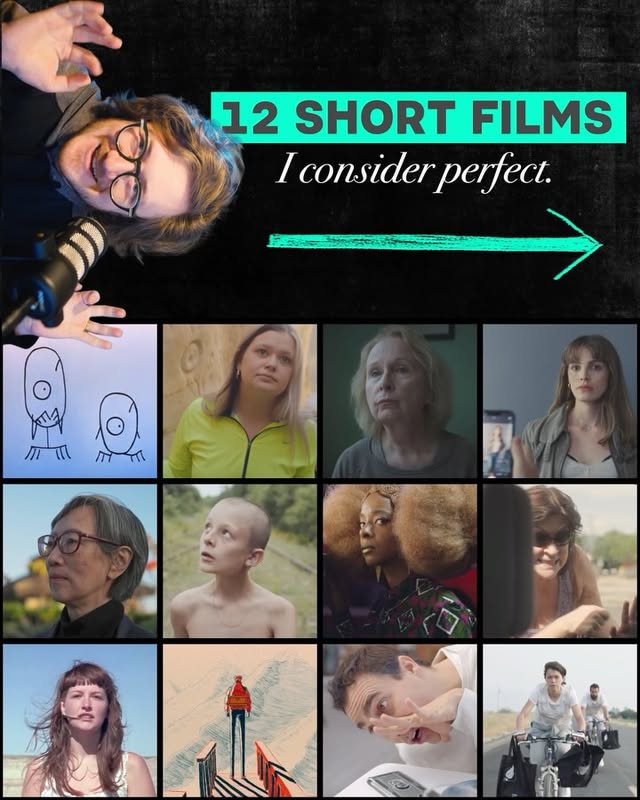 I’ve watched hundreds of short films. These are 12 of the best I’ve seen. Most of them are available online. Check them out for a microdose of amazing cinema. #filmrecommendation #indiefilm #film by @shift23media