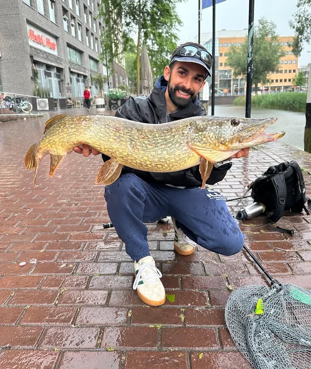 Même à l’arrêt, il travaille. 👀Maxime l’a bien compris aux Pays-Bas, le MAEKON 150SF ne s’arrête jamais vraiment. Une légère oscillation en phase de pause, un redémarrage… et ce beau brochet en plein cœur de ville n’a rien vu venir.Le MAEKON est disponible en 2 tailles (150 & 180SF) et 6 coloris. De quoi trouver votre bonheur ! 💛—Even at rest, it’s still working. 👀Maxime found that out in the Netherlands, the MAEKON 150SF never truly stops. A subtle wobble during the pause, a quick restart… and this beautiful city pike never stood a chance.The MAEKON is available in 2 sizes (150 & 180SF) and 6 colours. Something for everyone! 💛#Illex #Jackall #Maekon150SF #Pike by @illex_official