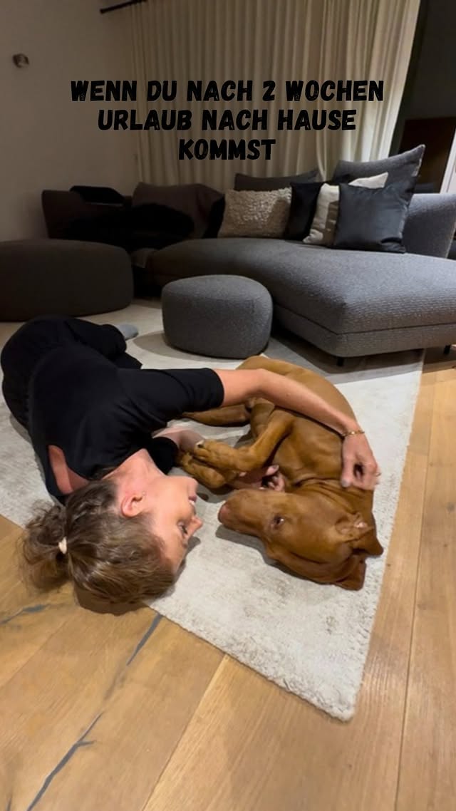 Kein Willkommen der Welt ist schöner als dieses🐾❤️!

Dieses Fiepsen🥰. Wer Friedl kennt, weiß – das ist bei ihm die größte Freude die es gibt. 
Als er vor zweieinhalb Jahren zu uns kam, dachten wir immer, er hat irgendwas. 
Bis wir verstanden haben: das ist er. Das ist sein Glück. 🥹

Zwei Wochen Urlaub – und er kann es erst gar nicht glauben, dass wir wirklich wieder da sind. Wie er sich anschleicht🥹…ok, es war auch schon Mitternacht, eigentlich Schlafenszeit😴.

Dreht Runden, fiepst, schaut uns an, fiepst nochmal. Als würde er fragen: Ihr bleibt jetzt, oder?
Ja Friedl. Wir bleiben.❤️
So sieht bedingungslose Liebe aus. 
Und in den Sommerferien kommst du mit, so viel ist sicher!🐾☀️

#Hundeliebe #Vizslalove #Vizsla