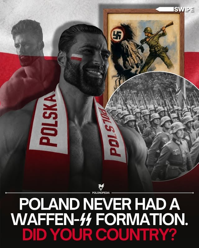 🇵🇱 Poland stands out in the history of World War II. While the Waffen SS included formations made up of volunteers and auxiliaries from dozens of nations across Europe and beyond, no ethnic Polish Waffen SS division was ever created.

From the first day of the war, Poland fought against Nazi Germany on land, at sea and in the air. ⚔️. The Polish Underground State and the Home Army became symbols of organized resistance under occupation.

Few nations paid such a high price for defiance. 🦅. Despite years of terror, Poland never produced a Waffen SS formation bearing the name of the Polish nation

Follow @polonopedia  for more! 🇵🇱