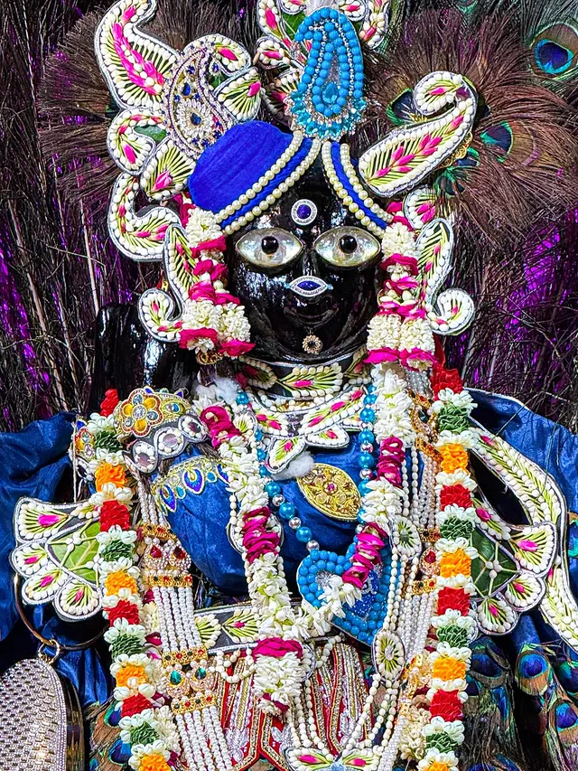 आज 09/06/2026 के अति सुंदर श्रृंगार दर्शन ठाकुर श्री बाँके बिहारी लाल जी के 🥹❤️
.
जय बिहारी जी की ❤️🌸
. 
श्री बाँके बिहारीजी के रोजाना फूल बंगले के दर्शन करने के लिए हमारे पेज @kaanha_ke_deewane को फॉलो करें🙏❤️
.
Like , share , save and share it to your story 🌺
..
Visit my profile and turn on notification 📌
_______________________________________
..
#bankebihari #bankebiharitemple #phoolbangla #phoolbanglamahotsav #viralreels