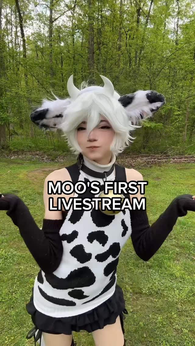 I hope to see you there!! 🤍🐮 SAT @ 10PM EST 

twitch.tv/mooimimo 

#cosplay #femboy #cowfemboy #twitch #mooimimo