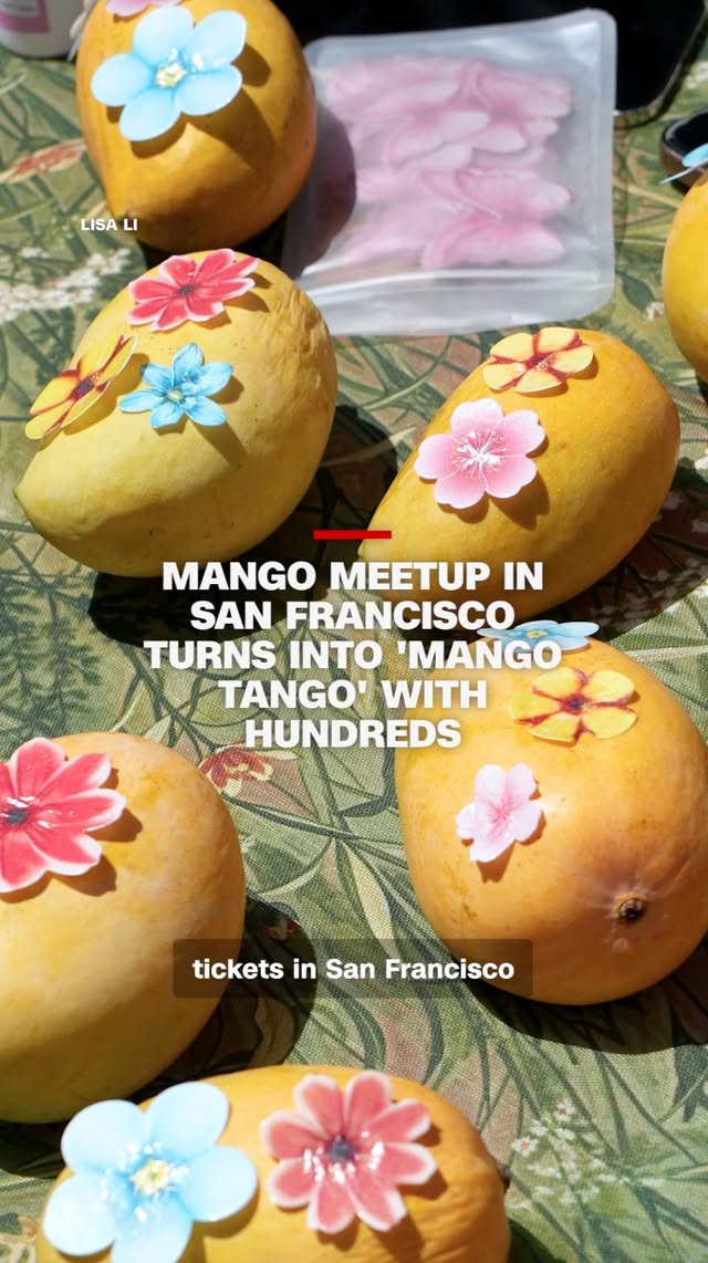 A casual meetup to share a box of mangoes in 2023 has exploded today into a mango-mania party in San Francisco where over 400 people recently gathered to share 700 mangoes together, according to the co-hosts.