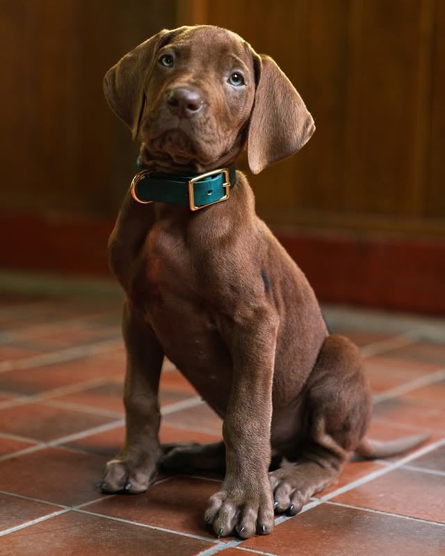 ITI MALIA 🤏

Scooby-Doo: A Origem estreia em 2027. 🐕